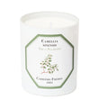 Load image into Gallery viewer, Camellia Sinensis - Tea Plant candle