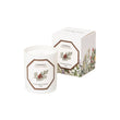 Load image into Gallery viewer, Cupressus - Cypress candle