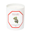 Load image into Gallery viewer, Ficus Carica - Fig Tree candle