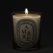 Load image into Gallery viewer, Ambre - Classic Candle
