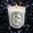 Load image into Gallery viewer, Baies Classic Candle

