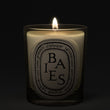 Load image into Gallery viewer, Baies Classic Candle
