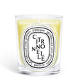 Load image into Gallery viewer, Citronnelle Scented Classic Candle
