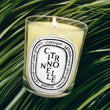 Load image into Gallery viewer, Citronnelle Scented Classic Candle
