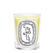 Load image into Gallery viewer, Citronnelle Scented Classic Candle
