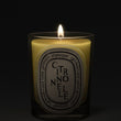 Load image into Gallery viewer, Citronnelle - Classic Candle
