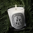 Load image into Gallery viewer, Cyprès - Classic Candle
