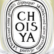 Load image into Gallery viewer, Choisya - Classic Candle

