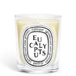 Load image into Gallery viewer, Eucalyptus - Classic Candle
