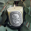 Load image into Gallery viewer, Eucalyptus - Classic Candle
