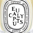 Load image into Gallery viewer, Eucalyptus - Classic Candle

