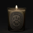 Load image into Gallery viewer, Feu de Bois Scented Candle
