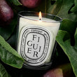 Load image into Gallery viewer, Figuier Scented Candle
