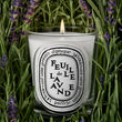 Load image into Gallery viewer, Feuille de Lavande - Classic Candle
