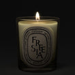 Load image into Gallery viewer, Freesia - Classic Candle
