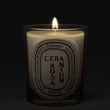 Load image into Gallery viewer, Geranium - Classic Candle
