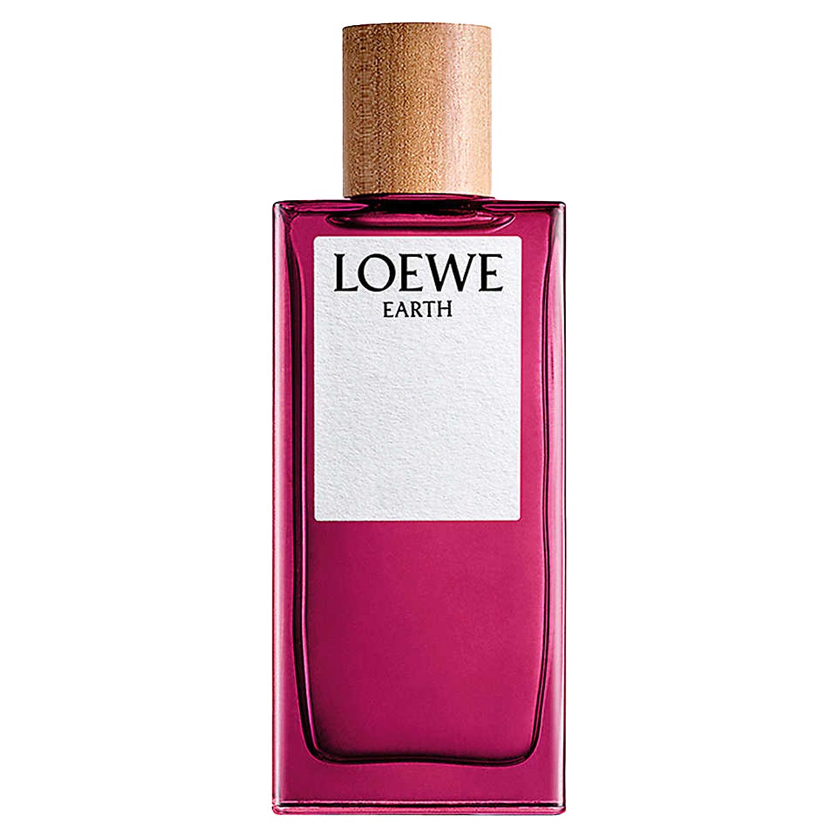 LOEWE EARTH オードパルファン 100mL LOEWE EARTH オードパルファン 100mL ロエベ アース EDP・SP 100ml