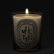 Load image into Gallery viewer, Muguet - Classic Candle
