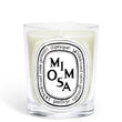 Load image into Gallery viewer, Mimosa - Classic Candle
