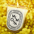 Load image into Gallery viewer, Mimosa - Classic Candle
