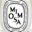 Load image into Gallery viewer, Mimosa - Classic Candle
