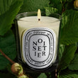 Load image into Gallery viewer, Noisetier Scented Classic Candle
