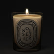 Load image into Gallery viewer, Noisetier Scented Classic Candle

