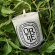 Load image into Gallery viewer, Ortie Scented Classic Candle
