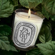 Load image into Gallery viewer, Patchouli - Classic Candle
