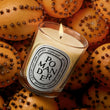 Load image into Gallery viewer, Pomander - Classic Candle
