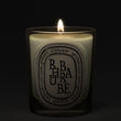 Load image into Gallery viewer, Rhubarbe - Classic Candle

