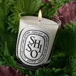 Load image into Gallery viewer, Shiso Classic Candle
