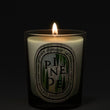 Load image into Gallery viewer, Pinede - Classic Candle
