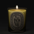 Load image into Gallery viewer, Tubereuse - Classic Candle
