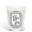 Load image into Gallery viewer, Verveine Scented Classic Candle
