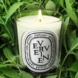 Load image into Gallery viewer, Verveine Scented Classic Candle
