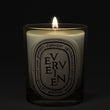 Load image into Gallery viewer, Verveine - Classic Candle
