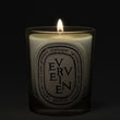 Load image into Gallery viewer, Verveine Scented Classic Candle
