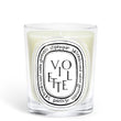 Load image into Gallery viewer, Violette - Classic Candle
