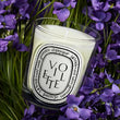 Load image into Gallery viewer, Violette Scented Classic Candle
