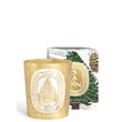 Load image into Gallery viewer, Sapin (Pine Tree) - Classic Candle
