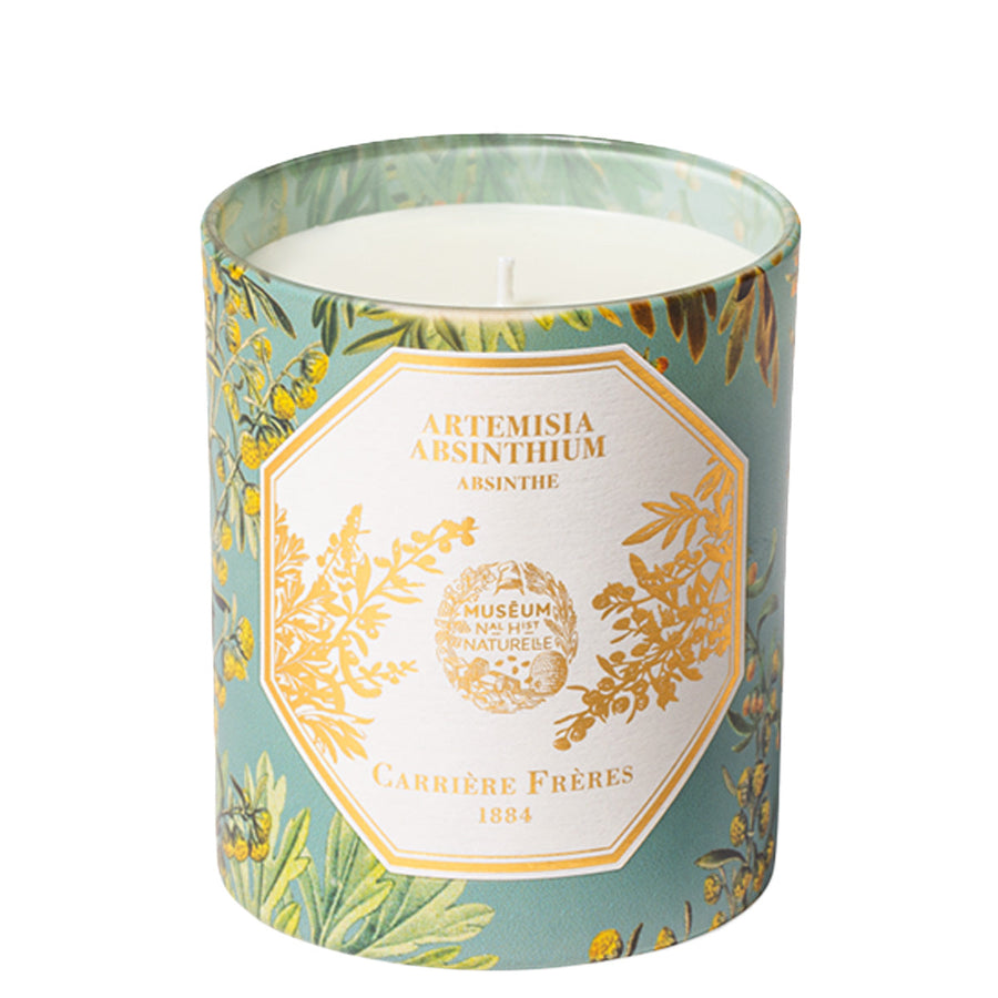 Artemisia Absinthium - Absinthe candle