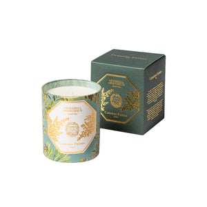 Artemisia Absinthium - Absinthe candle