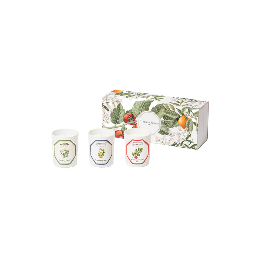 3 candles x 70g - Tomato, Orange Blossom, Verbena candle