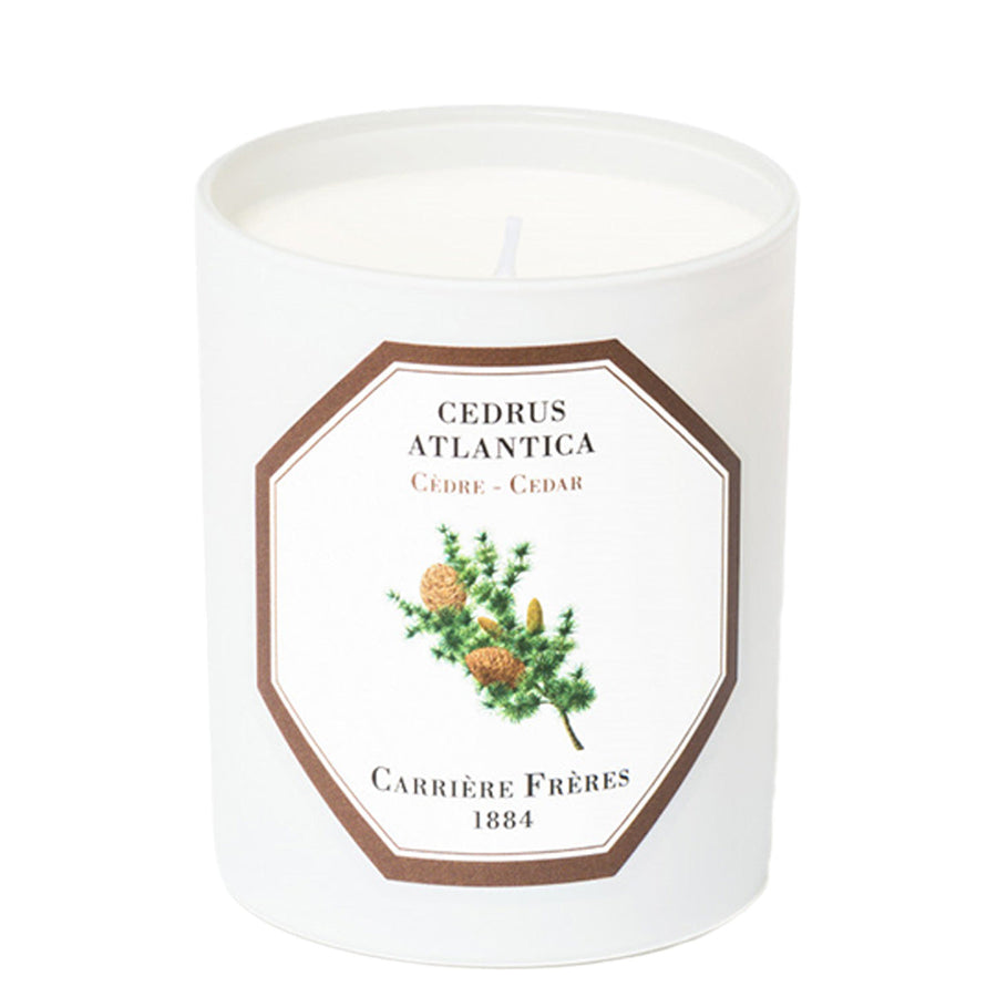 Cedrus Atlantica - Cedar candle