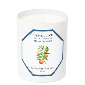 Citrus Dulcis - Orange Blossom candle