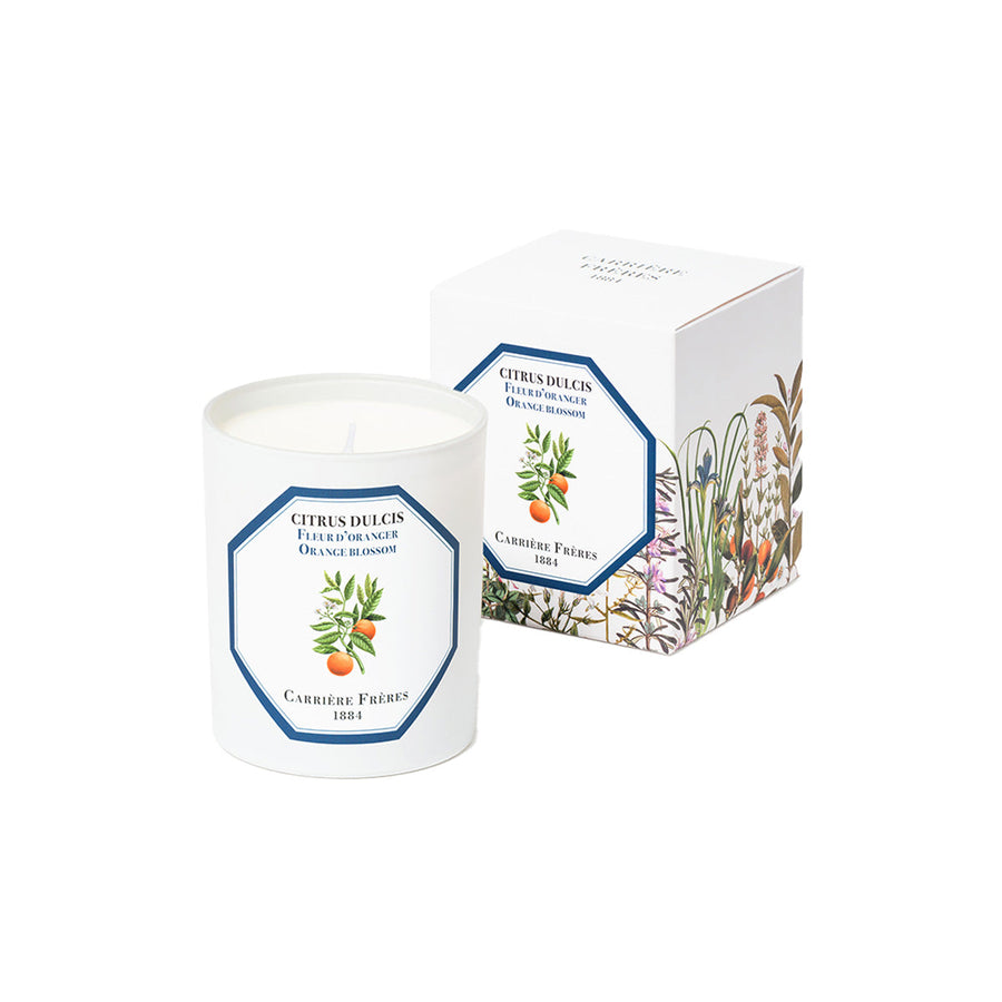 Citrus Dulcis - Orange Blossom candle