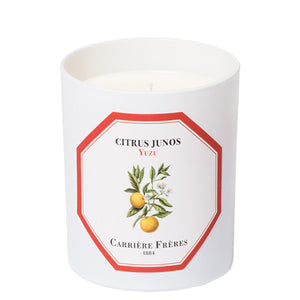 Citrus Junos - Yuza candle