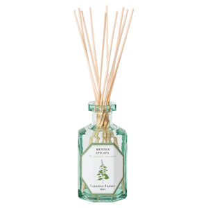 Mentha Spicata - Spearmint diffusers