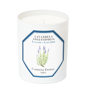 Lavandula Angustifolia - Lavender candle